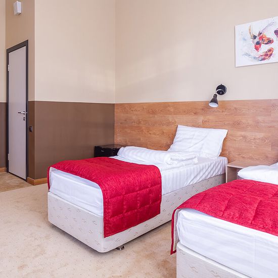 Фото категории номера отеля Smart Hotel NEO Псков