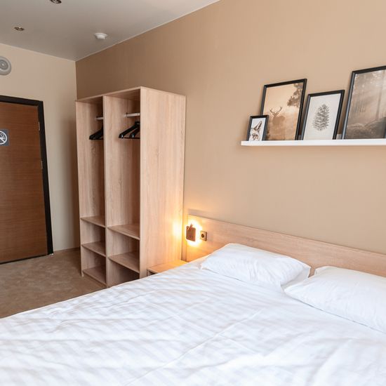 Фото категории номера отеля Smart Hotel NEO Иваново