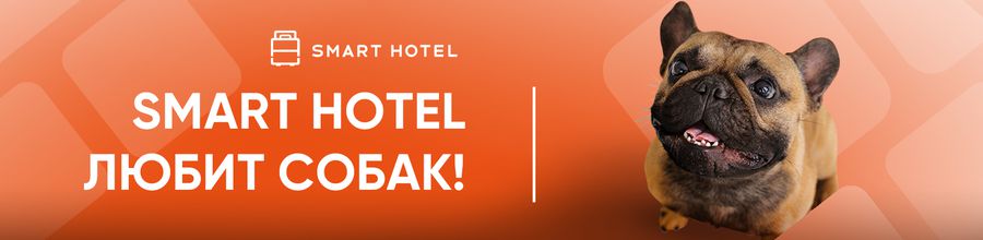 Путешествие с собакой больше не проблема!