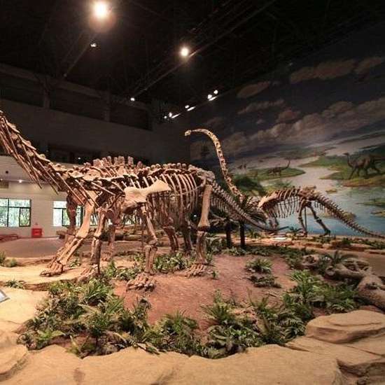 Vyatka Paleontological Museum