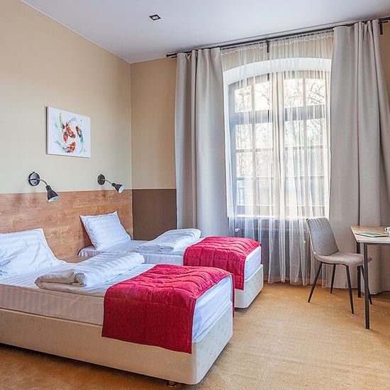 Фото категории номера отеля Smart Hotel NEO Псков